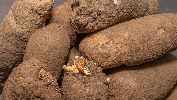 Yam Tubers