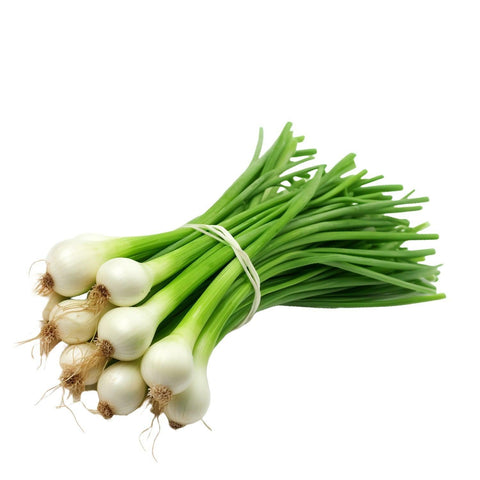 Spring Onion-SurulereFoods
