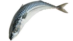 Box of Mackerel (200g to 400g) - SurulereFoods