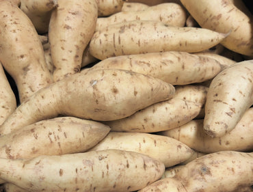 Box of White Sweet Potatoes half a box - SurulereFoods — Drinks — Buy Online UK