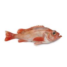 Frozen Red Bream Fish 2kg