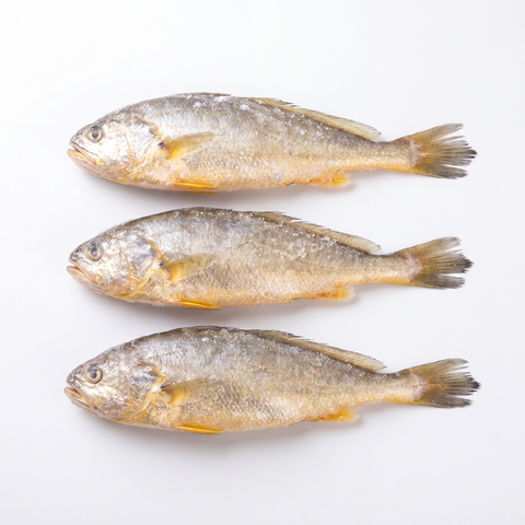Whole uncut frozen yellow croaker fish on a white background
