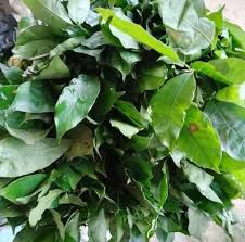 Fresh Okazi Leaves — Fresh Food — Buy Online UK
