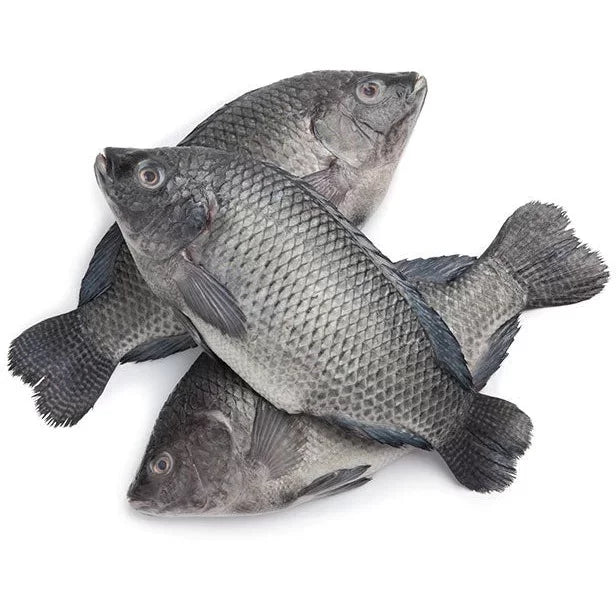 Frozen Tilapia Gutted & Scaled (2 x Pack of 3) Small Box