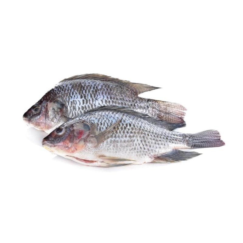Head On Gutted Scaled Tilapia 800G-SurulereFoods