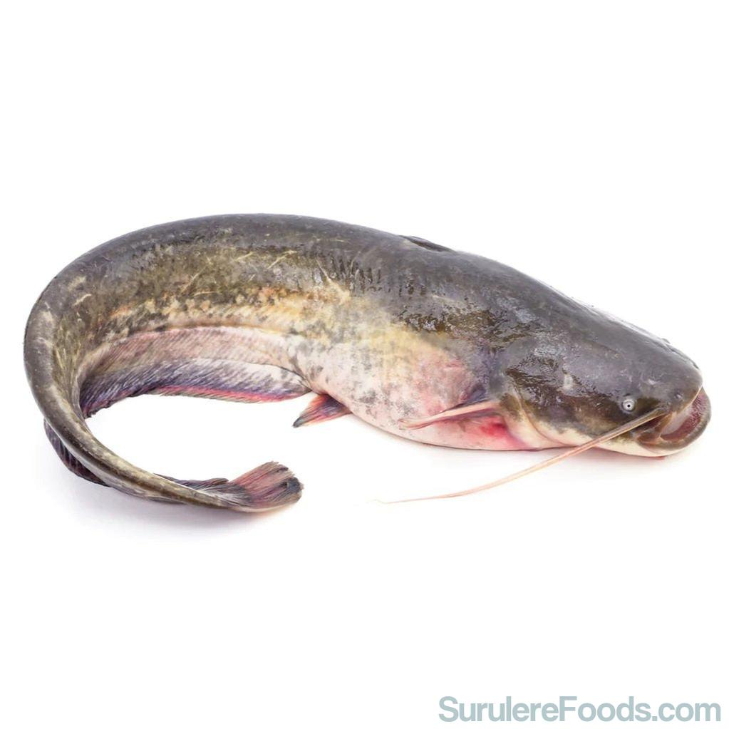 As Frozen Whole Catfish Gutted 2.5Kg-SurulereFoods