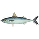 Mackerel-SurulereFoods