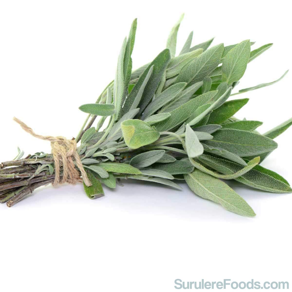 Ghana Fresh Sage Leaves 40G-SurulereFoods