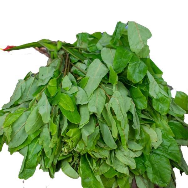 Popular Vegetables Leaves