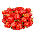 Fresh Scotch Bonnet Chilies 300g