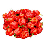 Fresh Scotch Bonnet Chilies 300g