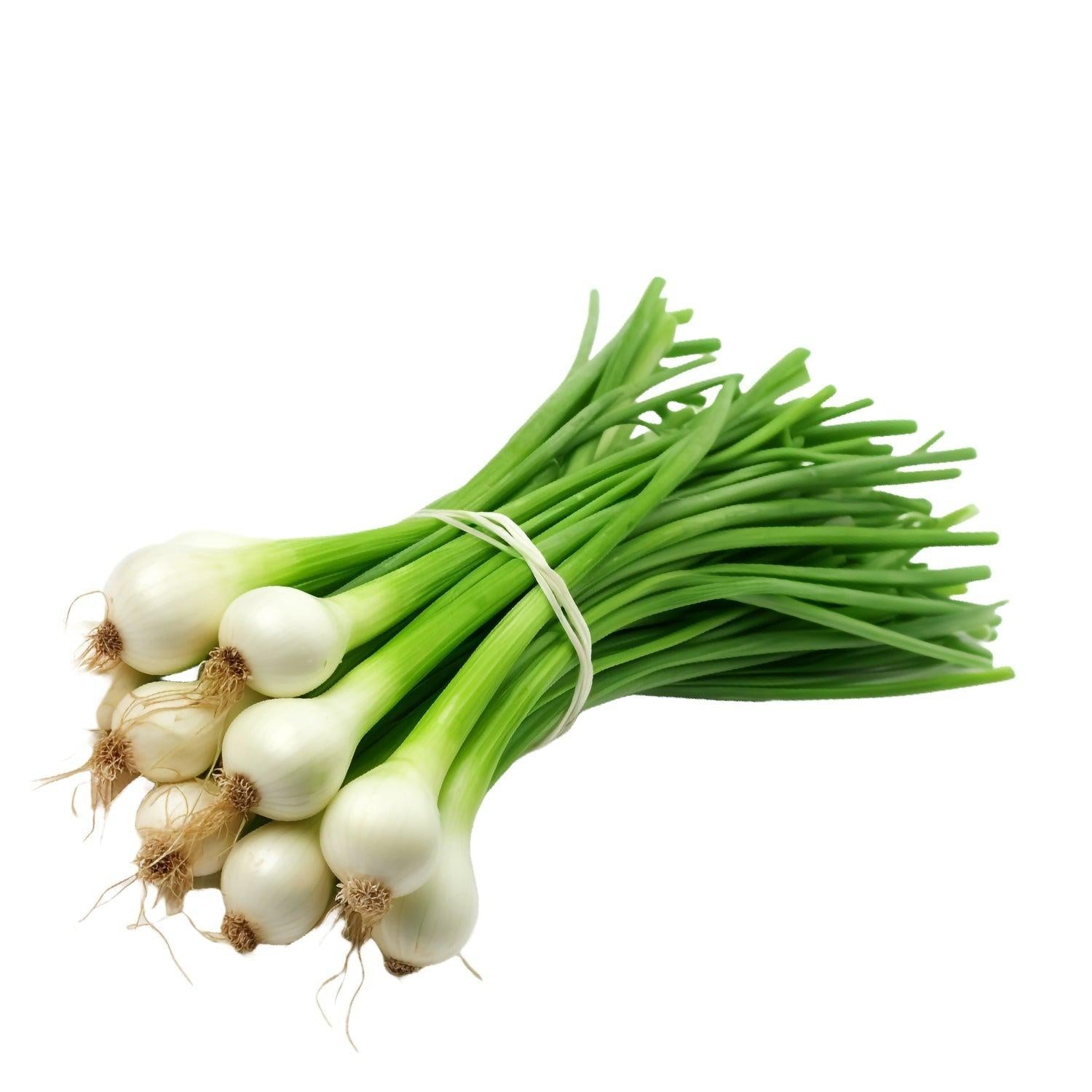 Spring Onion-SurulereFoods