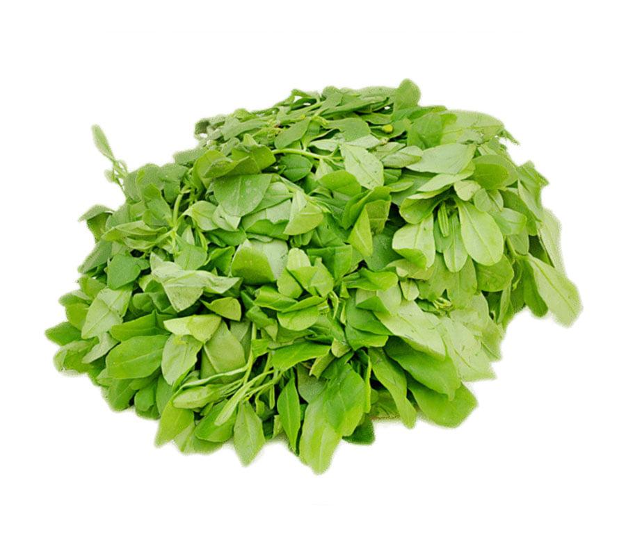 Water Leaf