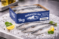 Premium Frozen Mackerel Fish 1kg – Whole Omega-3 Rich Seafood UK