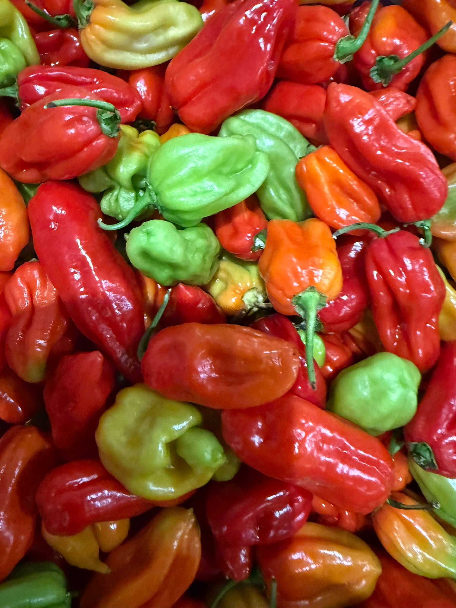 Mixed Scotch Bonnet