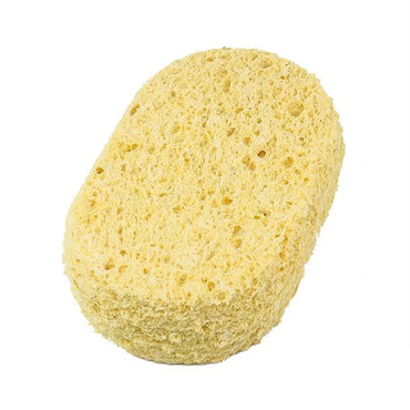 Collxx Large Body Sponge — Hair & Beauty — Buy Online UK