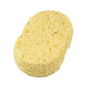 Collxx Large Body Sponge