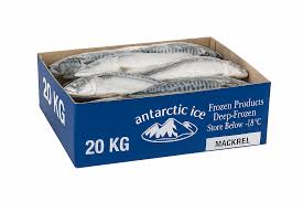 Box of Mackerel Frozen Fish - SurulereFoods