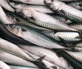 Proteins & Fish