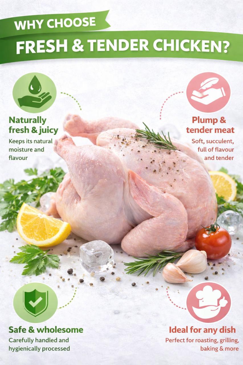 Broiler Hard Chicken – Full Flavour Chicken for Soups, Stews & Grilling | UK