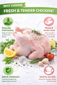 Broiler Hard Chicken – Full Flavour Chicken for Soups, Stews & Grilling | UK