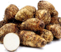 Cocoyam 1Kg