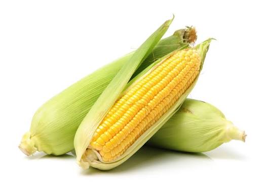 Fresh Sweet Corn on the Corb