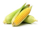 Fresh Sweet Corn on the Corb