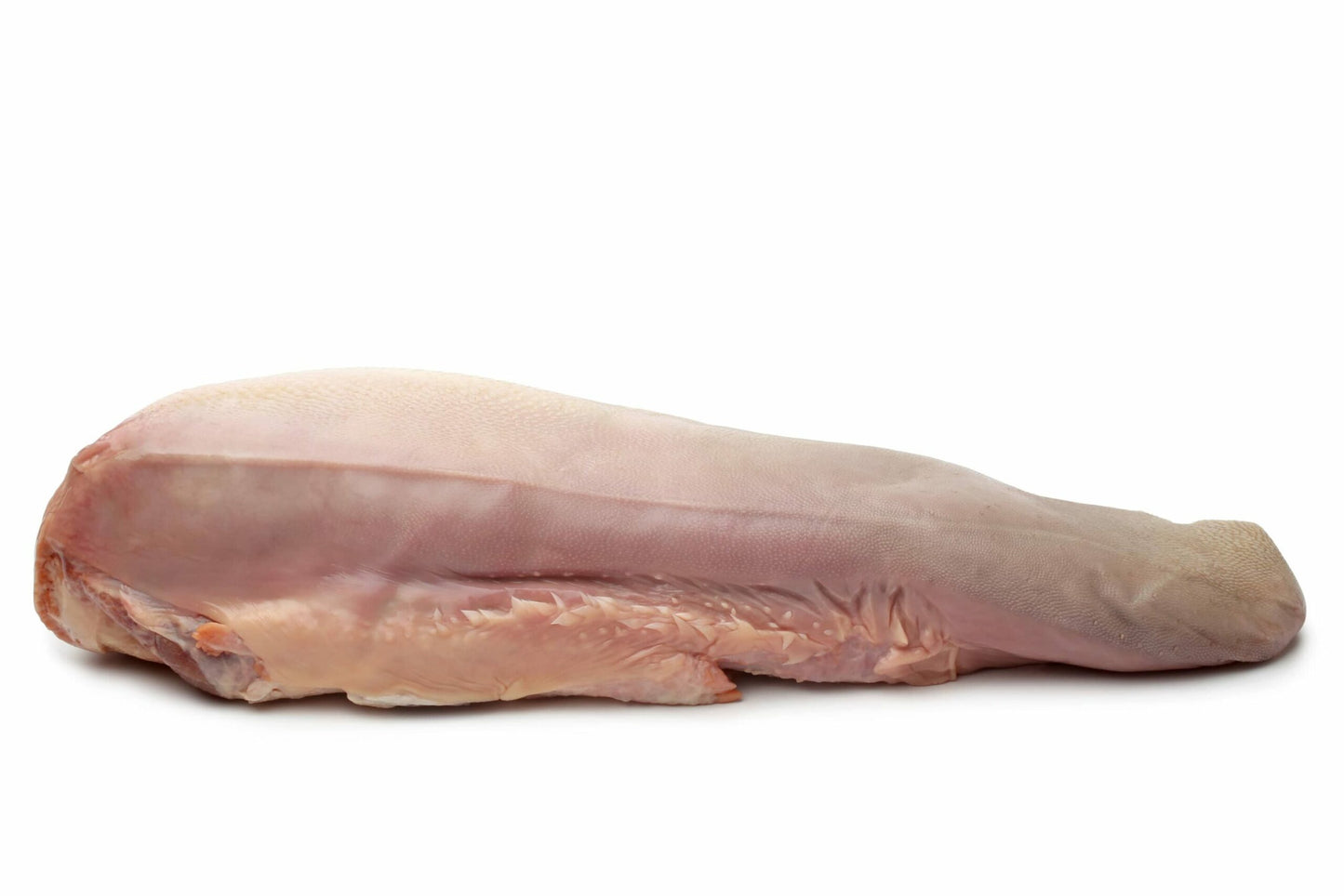 cow beef tongue