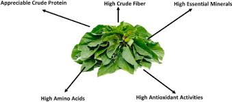 Ewedu (Jute Leaf) 400g