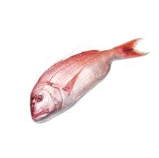 Frozen Red Bream Fish 5kg