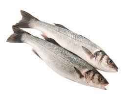 Premium Whole Sea Bass Large Box 10kg