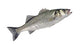 Premium Whole Sea Bass Large Box 10kg