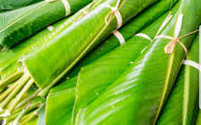 Box of Moimoi & Eko Agidi  Leaves (Thaumatococcus daniellii. )