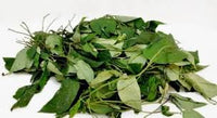 Pre Order Fresh Uziza Leaves Bunch