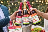 Paul Brassac Organic Sparkling Fruit Juice 3 x 750ml – UK