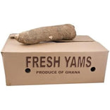 Fresh White Yam