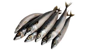 Frozen Mackerel Fish 1kg - SurulereFoods