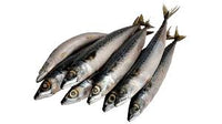 Frozen Mackerel Fish 1kg - SurulereFoods