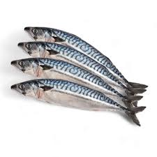 Frozen Mackerel Fish 1kg - SurulereFoods