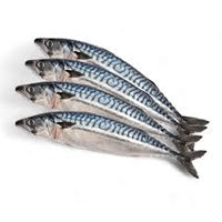 Frozen Mackerel Fish 1kg - SurulereFoods