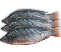 Frozen Tilapia 1kg - SurulereFoods