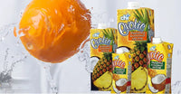 Chivita Exotic Tropical Fruits & Coconut Nectar 1L
