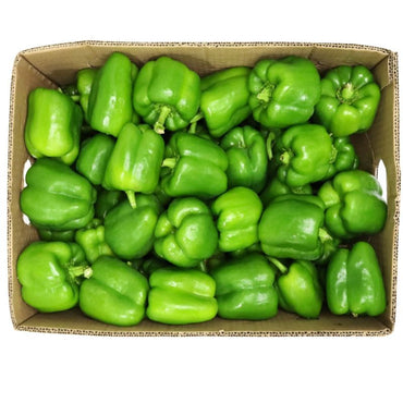 Fresh Green Capsicum Pepper Box - Bulk Bell Peppers