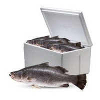 Premium Whole Sea Bass Large Box 10kg