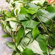 Pre Order Fresh Utazi Leaves