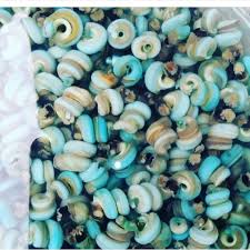 Periwinkles