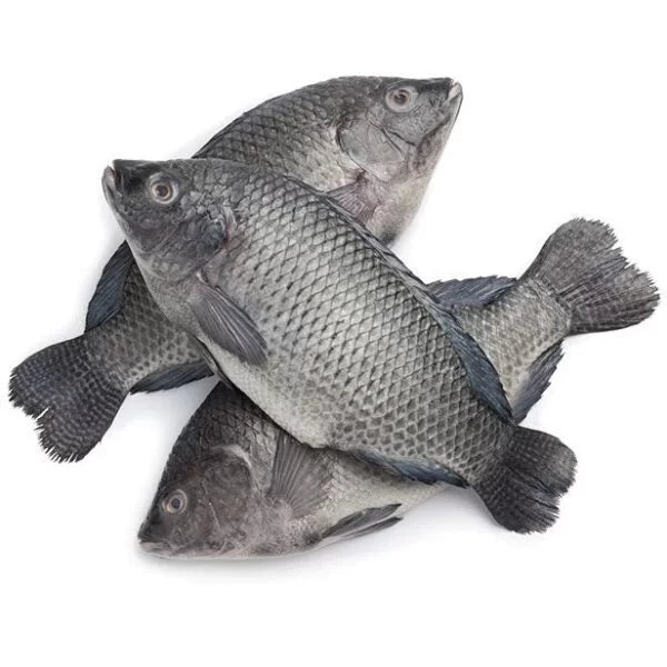 Frozen Tilapia Gutted & Scaled  (2 x Pack of 3) Large Box