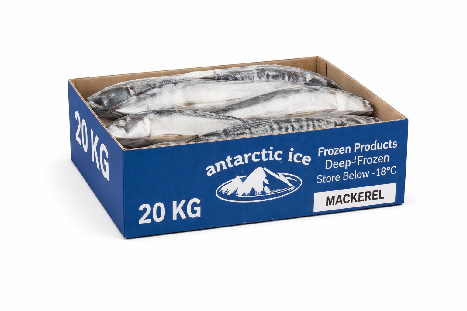 Frozen Whole Mackerel 20kg – Premium Raw Frozen Fish Box UK