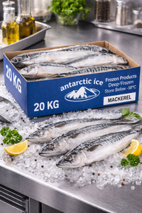 Frozen Whole Mackerel 20kg – Premium Raw Frozen Fish Box UK